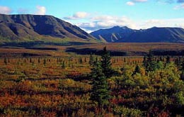 Alaska, Nordamerika, USA: Abenteuer auf dem Denali-Highway